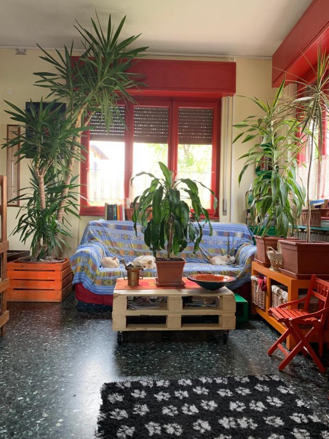 B&B Il Tempo Del Sogno Con Cani E Gatti Pet&Breakfast Baveno Bagian luar foto