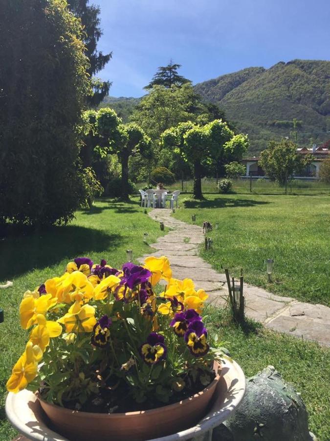 B&B Il Tempo Del Sogno Con Cani E Gatti Pet&Breakfast Baveno Bagian luar foto